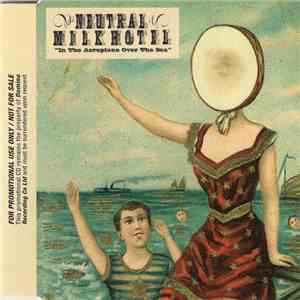 Neutral Milk Hotel - In The Aeroplane Over The Sea