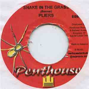 Pliers - Snake In The Grass