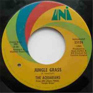 The Aquarians - Jungle Grass / Adela
