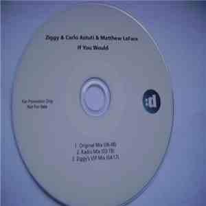 Ziggy & Carlo Astuti & Matthew LeFace - If You Would