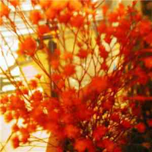 Ilkae - Jump Math Cupboard EP
