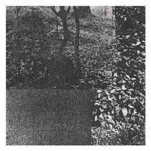 Joli , Light Collapse - Joli / Light Collapse