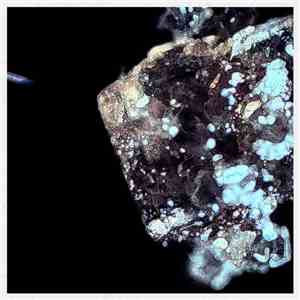 Rizke - 100µg