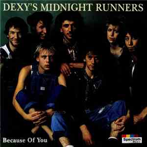 Dexys Midnight Runners - Because Of You