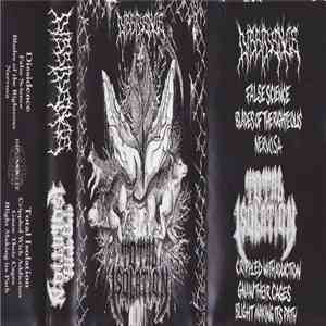 Dissidence  / Total Isolation - Dissidence / Total Isolation