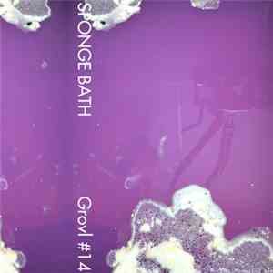 Sponge Bath - Sponge Bath