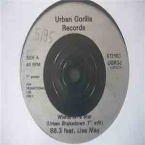 88.3 feat. Lisa May - Wishing On A Star
