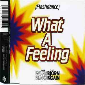 Bjorn Again - (Flashdance) What A Feeling