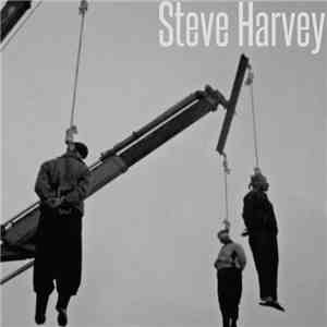 Harsh Noise Movement - Steve Harvey