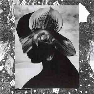 Impregnable - Wooden Love