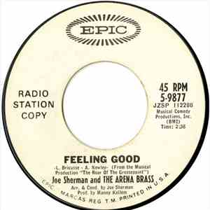 Joe Sherman And The Arena Brass - Feeling Good