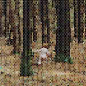 Principles Of Geometry Starring Sébastien Tellier - A Mountain For President EP