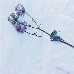 Soft Touch  - Maybe Something, Maybe Nothing
