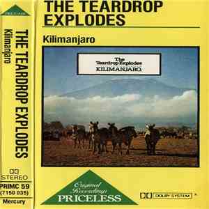 The Teardrop Explodes - Kilimanjaro