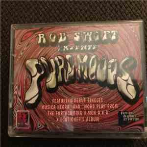 Rob Swift - Pure Moods