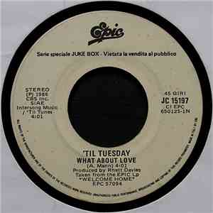 'Til Tuesday / The Stranglers - What About Love / Always The Sun