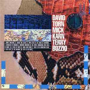 David Torn / Mick Karn / Terry Bozzio - Polytown