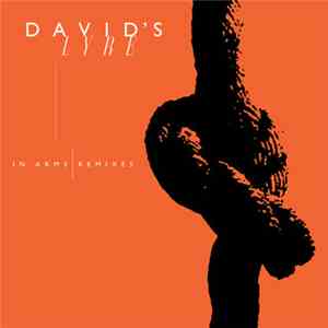 David's Lyre - In Arms Remixes