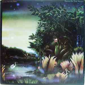 Fleetwood Mac - Tango In The Night