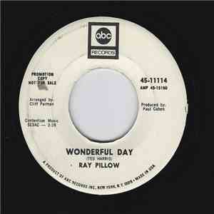 Ray Pillow - Wonderful Day