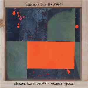 Werner Dafeldecker, Valerio Tricoli - Williams Mix Extended
