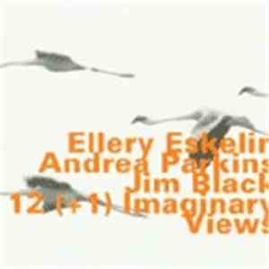 Ellery Eskelin With Andrea Parkins & Jim Black - 12 (+1) Imaginary Views