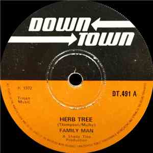 Family Man / Studio Sound - Herb Tree / Holy Poly