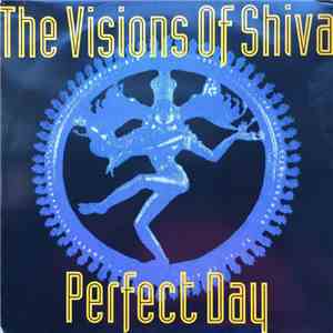 The Visions Of Shiva - Perfect Day