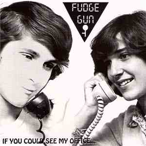 Fudgegun - If You Could See My Office...