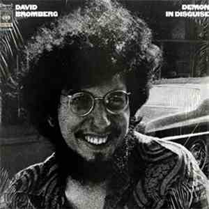 David Bromberg - Demon In Disguise