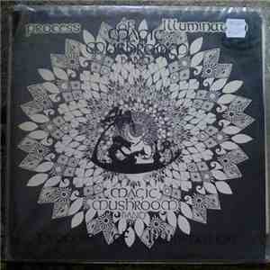 Magic Mushroom Band - Process Of Illumination