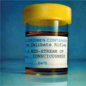 The Celibate Rifles - A Mid-Stream Of Consciousness