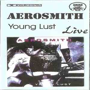 Aerosmith - Young Lust Live
