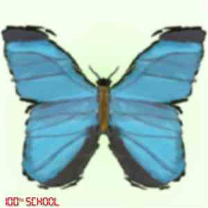 100th School - Radiant Butterfly