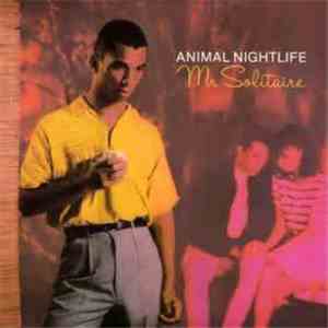 Animal Nightlife - Mr Solitaire