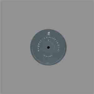 Mogwai - R U Still In 2 It?
