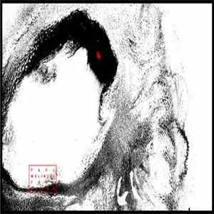 Paul Wolinski - Full Bleed