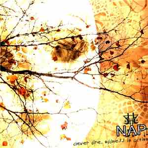 NAP  - Clever Dire, Oddness In Action