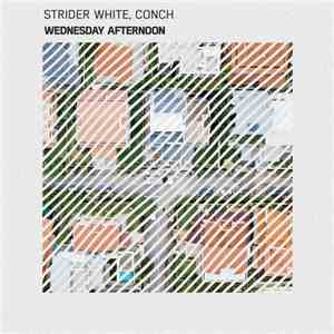 Strider White, Conch  - Wednesday Afternoon