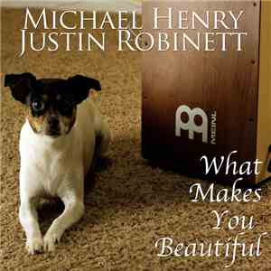 Michael Henry & Justin Robinett - What Makes You Beautiful