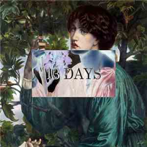 Birdmask - 13 Days