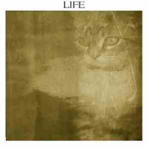 Shadows On The Snow - Life
