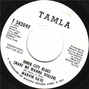 Marvin Gaye - Inner City Blues (Make Me Wanna Holler)