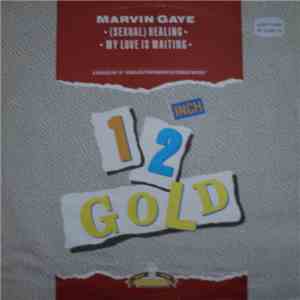 Marvin Gaye - (Sexual) Healing / My Love Is Waiting