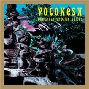 Vocokesh - Electric Indian Blues