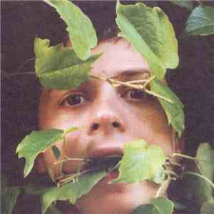 Young Governor - Virginia Creeper