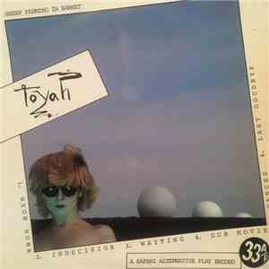 Toyah - Sheep Farming In Barnet