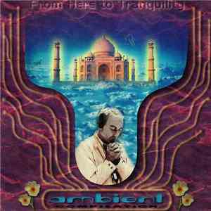 Various - From Here To Tranquility