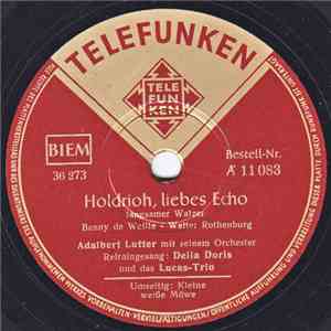 Adalbert Lutter Mit Seinem Orchester - Holdrioh liebes Echo