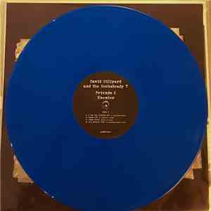 Dave Hillyard & The Rocksteady 7 - Friends & Enemies